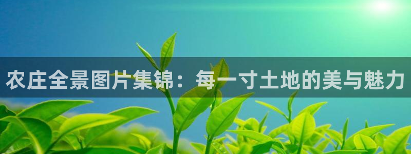 琳琅娱乐注册资金多少