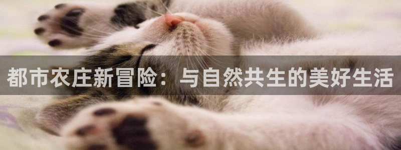 琳琅娱乐放心33300