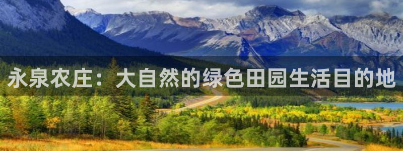 qq琳琅科技娱乐机器人