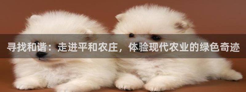 琳琅娱乐社区宅男