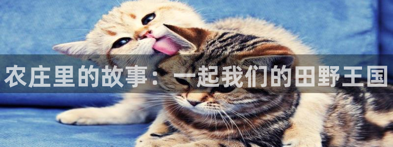 琳琅娱乐代理怎么样