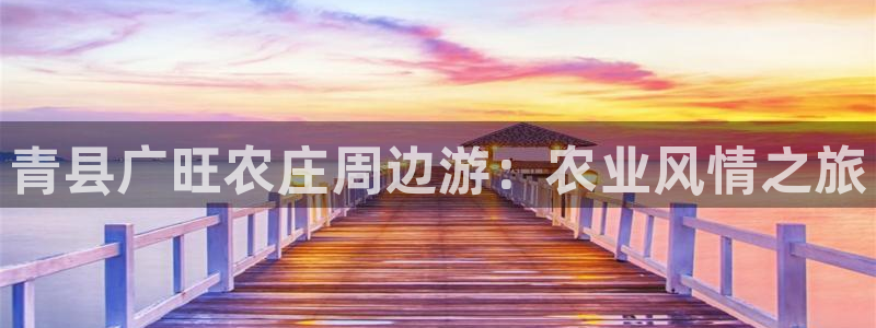 琳琅娱乐机器人