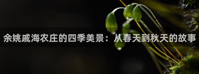 琳琅娱乐成年女人视频