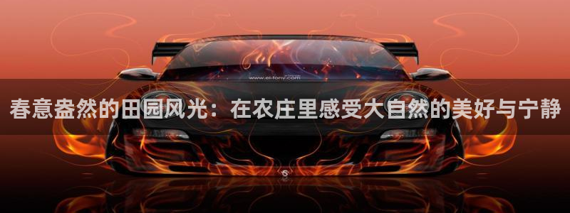 琳琅娱乐注册资金多少钱