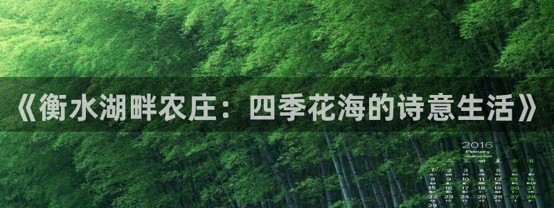 琳琅娱乐领先33300