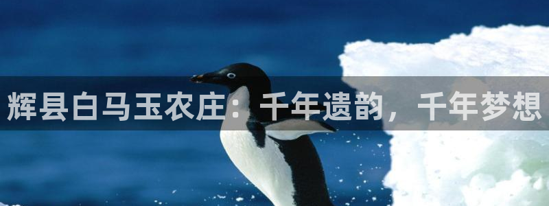 琳琅国际娱乐会所电话