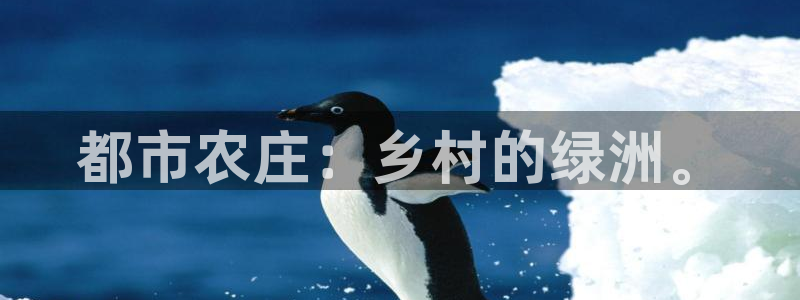 琳琅娱乐领先33300