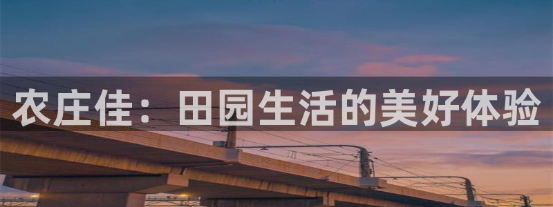 琳琅娱乐组飞车