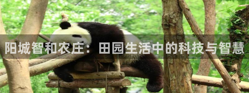 琳琅作者娱乐圈女主