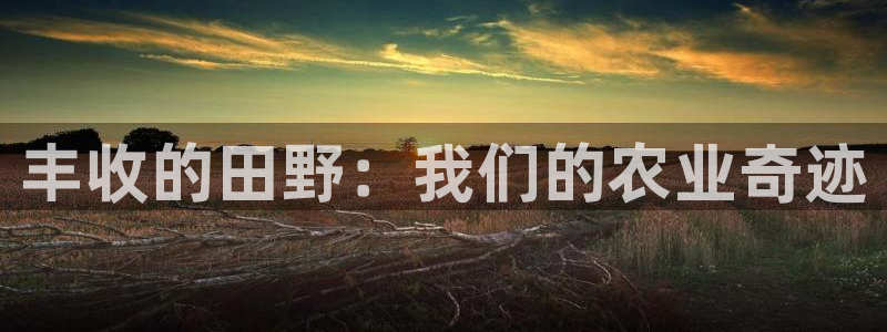 琳琅娱乐装7O777