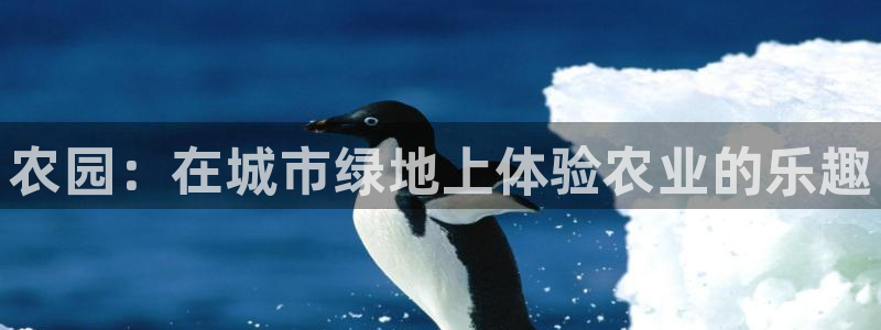 琳琅科技qq娱乐机器人