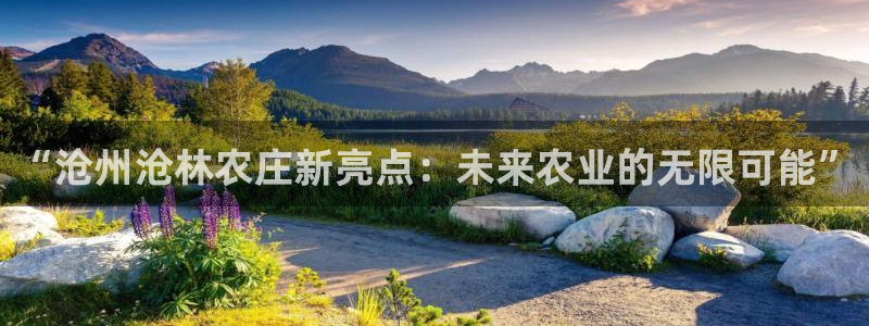 琳琅娱乐代理21192