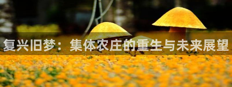 琳琅娱乐社区600