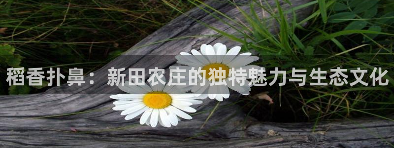 琳琅娱乐登录