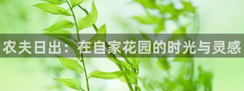 琳琅娱乐场所