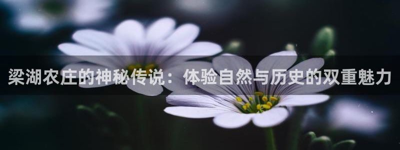 琳琅国际娱乐会所怎么样