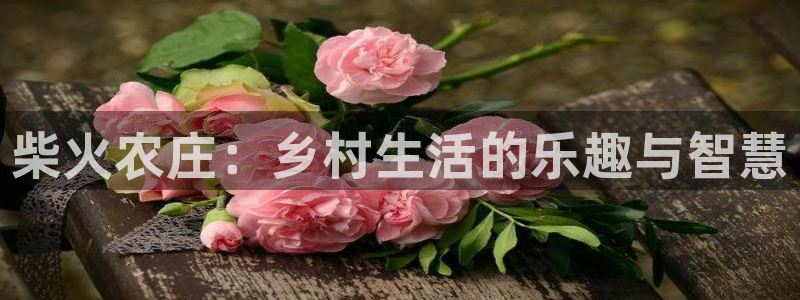 琳琅娱乐招商注册