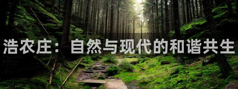 琳琅科技娱乐QQ机器人