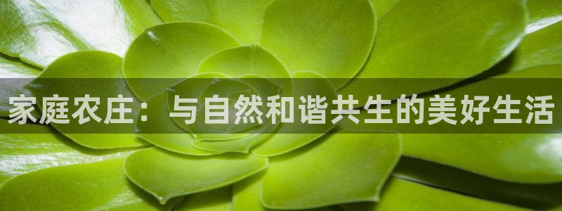 琳琅国际娱乐会所