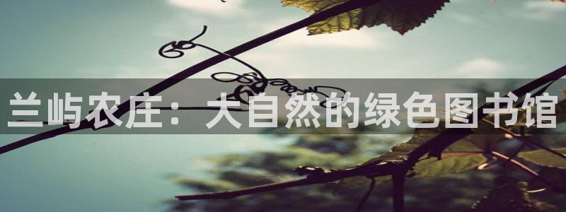 琳琅娱乐工作室招聘