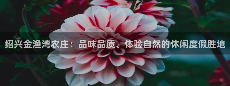 梧州琳琅娱乐城