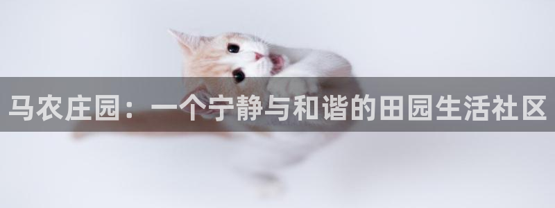 琳琅娱乐周7O777