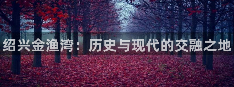 琳琅娱乐代理怎么样